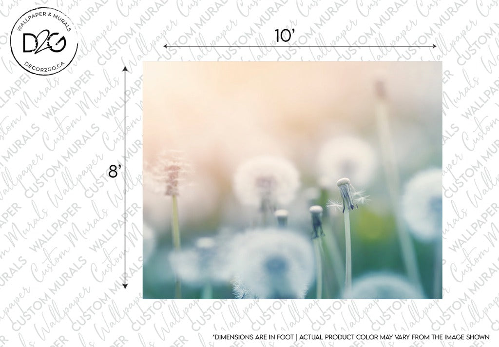 Artistic blur effect on a serene meadow featuring summer dandelions, with dimensions marked for print size, emphasizing a soft, pastel-toned background on the Decor2Go Dandelion Wallpaper Mural.