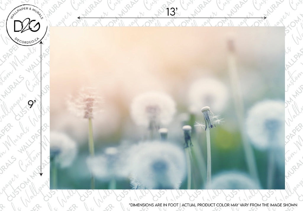 An artistic image of Decor2Go Wallpaper Mural's Dandelion Wallpaper Mural in a field, focusing on a few with seeds blowing away, surrounded by soft-focused flowers in a tranquil, dreamy setting.