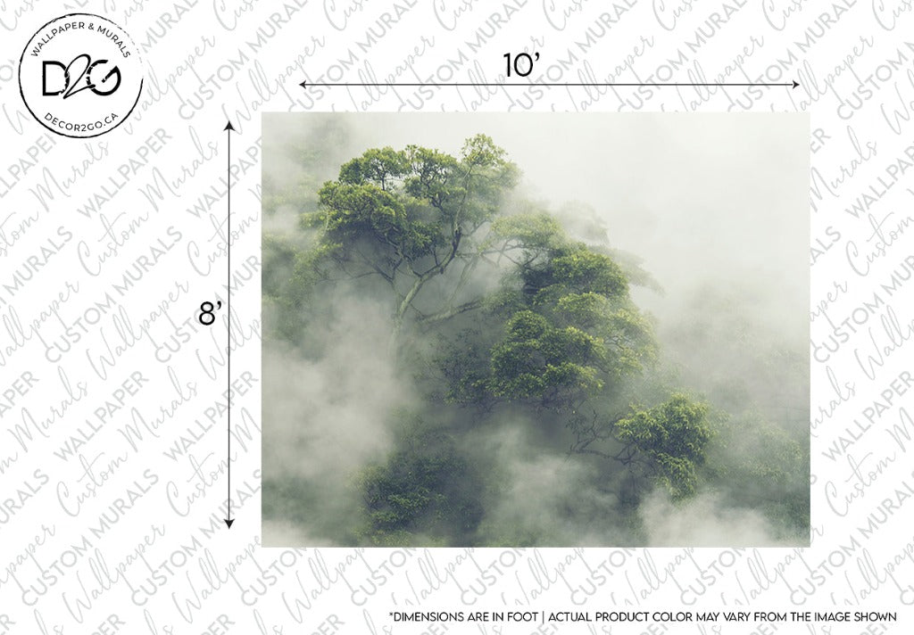 A Decor2Go Wallpaper Mural depicting a lush green forest engulfed in mist, with dimensions (10 feet by 8 feet) noted on the sides, emphasizing the realistic and immersive quality of the Hidden Tree Wallpaper Mural.