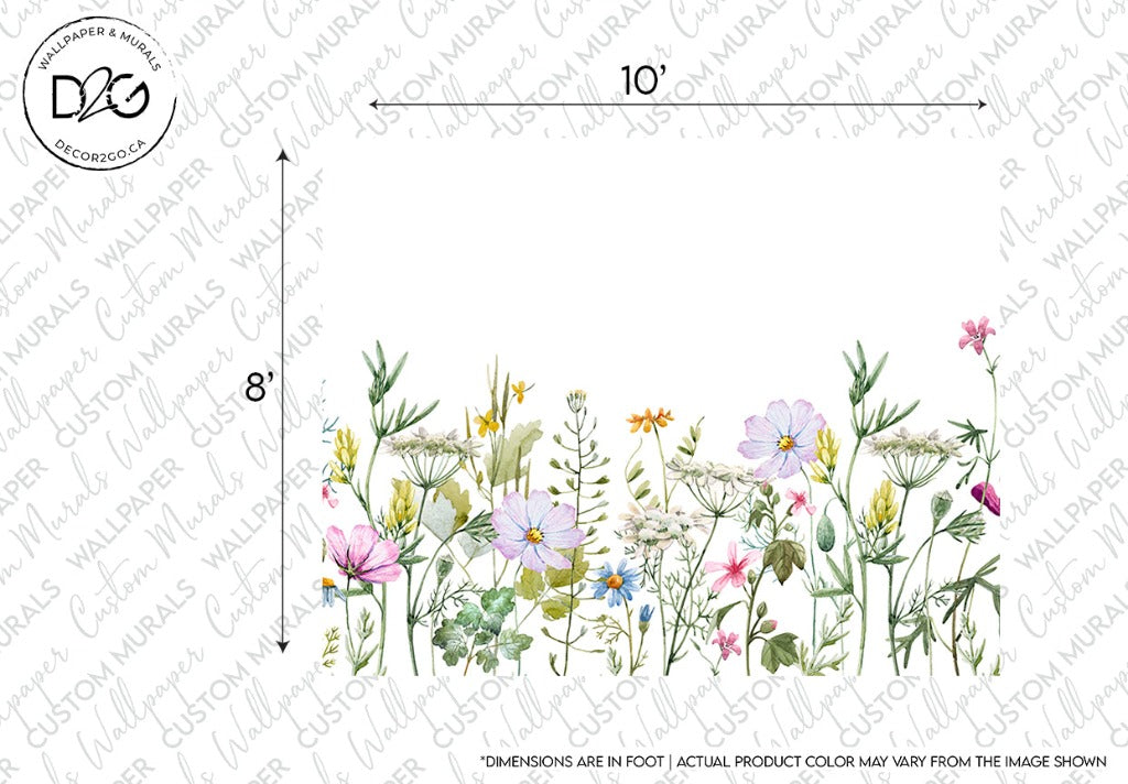 Illustration of various colorful wildflowers and plants arranged in a botanical elegance border format against a white background, with dimensions marked as 10 feet by 8 feet, featuring the Decor2Go Wallpaper Mural Watercolor Garden Wallpaper Mural.