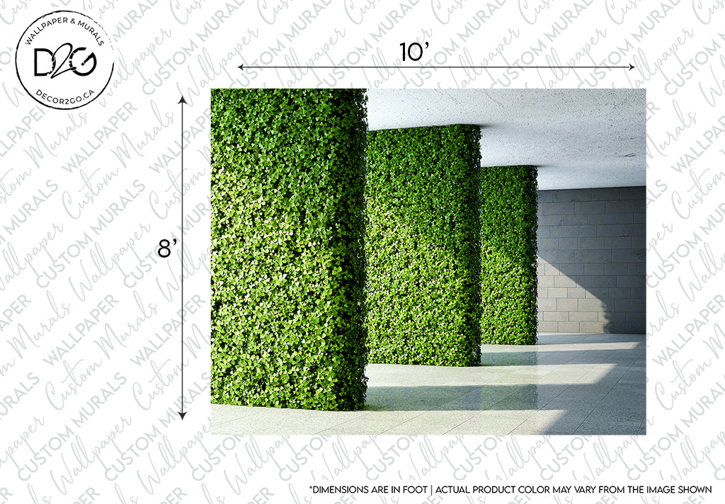 Two lush green artificial ivy walls measuring 10 and 8 feet respectively, set against a modern building with grey stairs and a sunlit passageway featuring a Decor2Go Wallpaper Mural design.