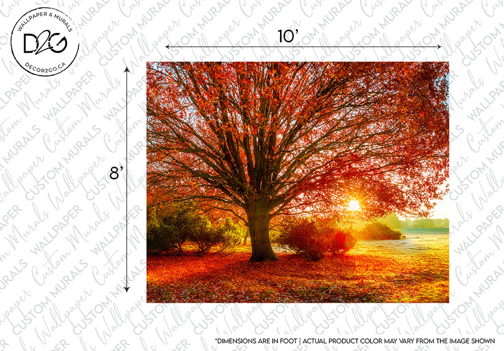 A vibrant autumn scene featuring a large tree with bright red leaves, illuminated by the golden light of a setting sun, surrounded by a grassy field with faint watermarks and measurement labels on the Decor2Go Wallpaper Mural.