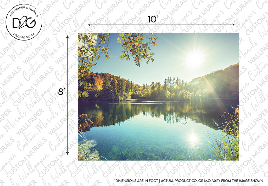 A serene lake reflecting trees under a bright sun on a Decor2Go Wallpaper Mural, with measurement markings indicating size and designed for creating a feature wall.