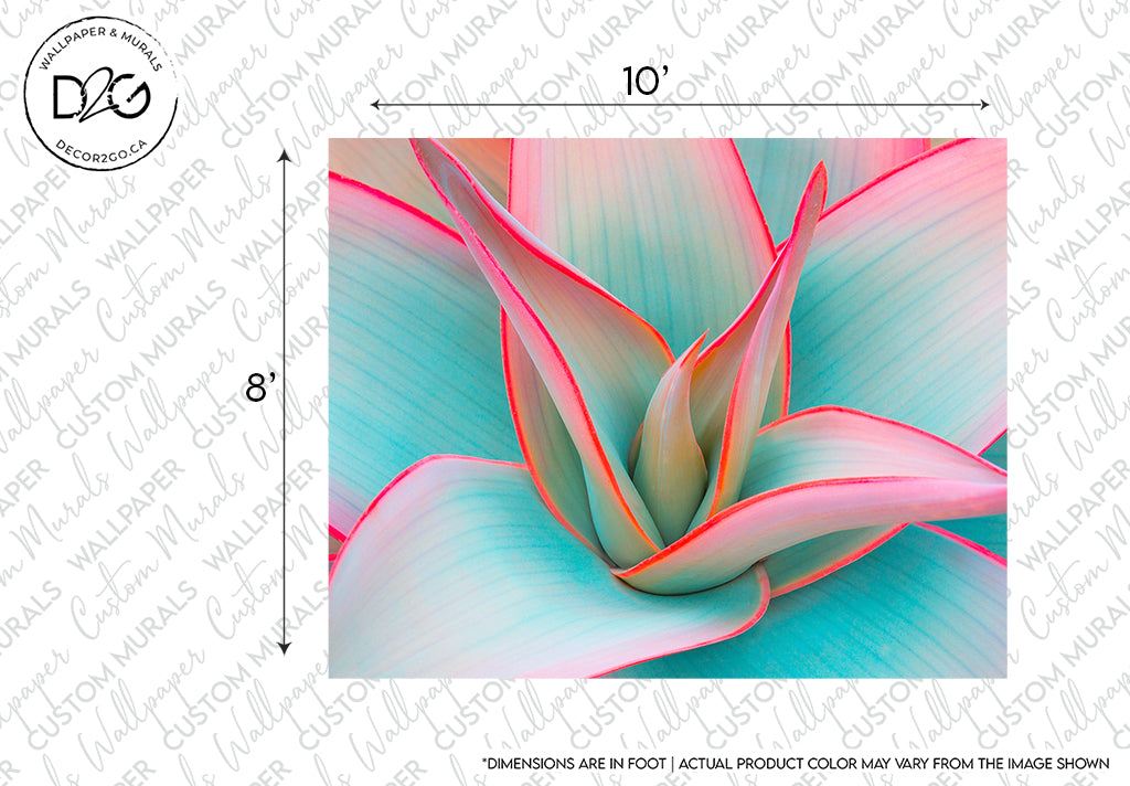 A close-up image of a vibrant agave plant, perfect for Decor2Go Wallpaper Mural, displaying striking pink-tipped leaves against soft blue and green gradients, with a ruler for size reference.