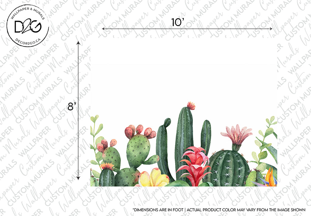 Watercolor illustration of various cacti and succulents arranged in a horizontal layout, featuring different shapes and sizes, some with blooming flowers, against a white background with measurement markings. Perfect for Garden of Cactus Wallpaper Mural by Decor2Go Wallpaper Mural.