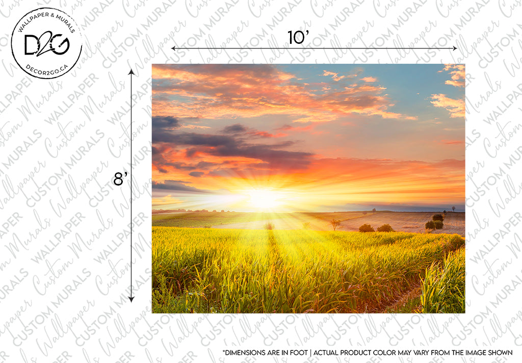 A vibrant Decor2Go Wallpaper Mural over a green field leading to the sea, with beams of sunlight piercing through the scenery. A decorative frame and dimensions indicate a wallpaper sample.