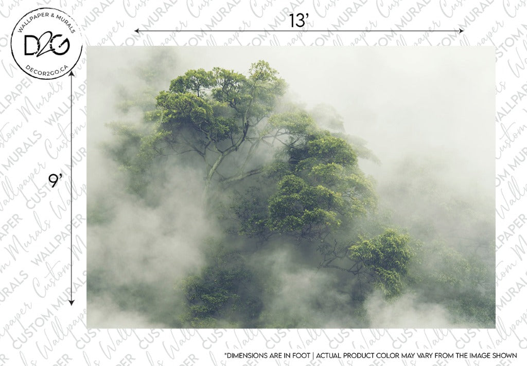 A Hidden Tree Wallpaper Mural design from Decor2Go Wallpaper Mural showing lush green trees partially obscured by mist, with measurements and a disclaimer about color variation at the bottom.