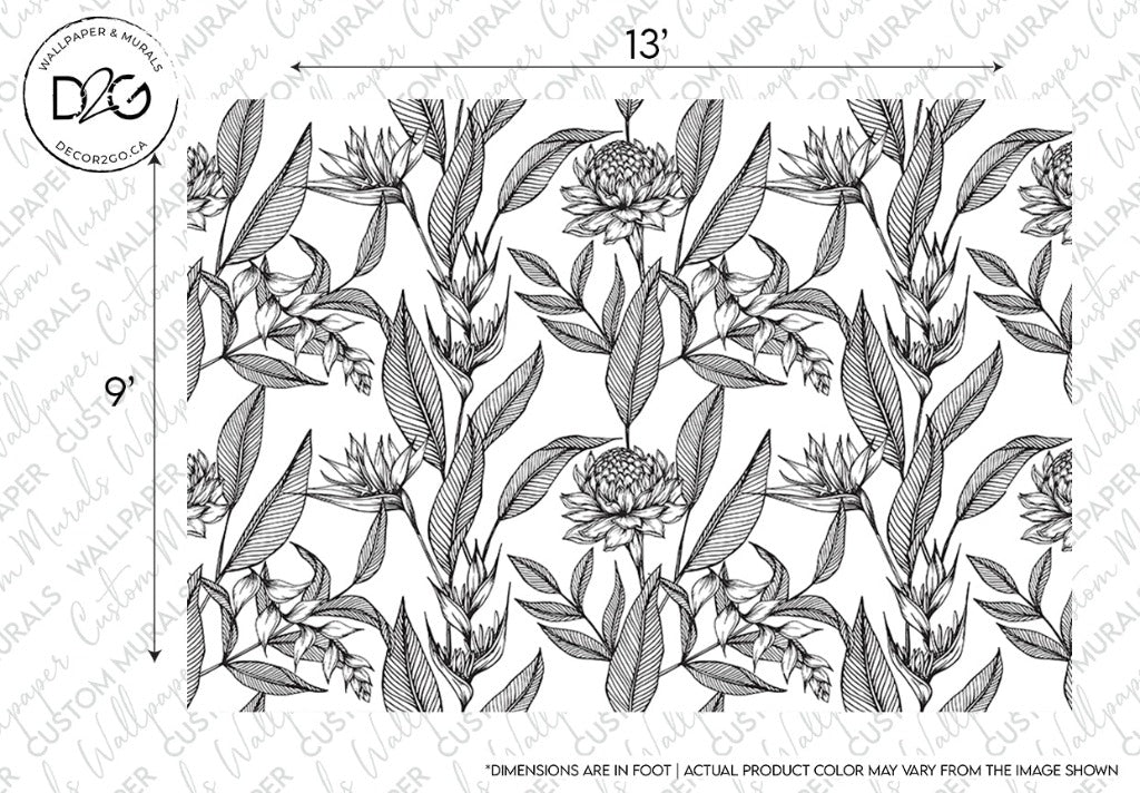 Black and white line drawing of a detailed botanical Paradise Flower Wallpaper Mural featuring various flowers and leaves, with marked dimensions indicating the size of the design from Decor2Go Wallpaper Mural.
