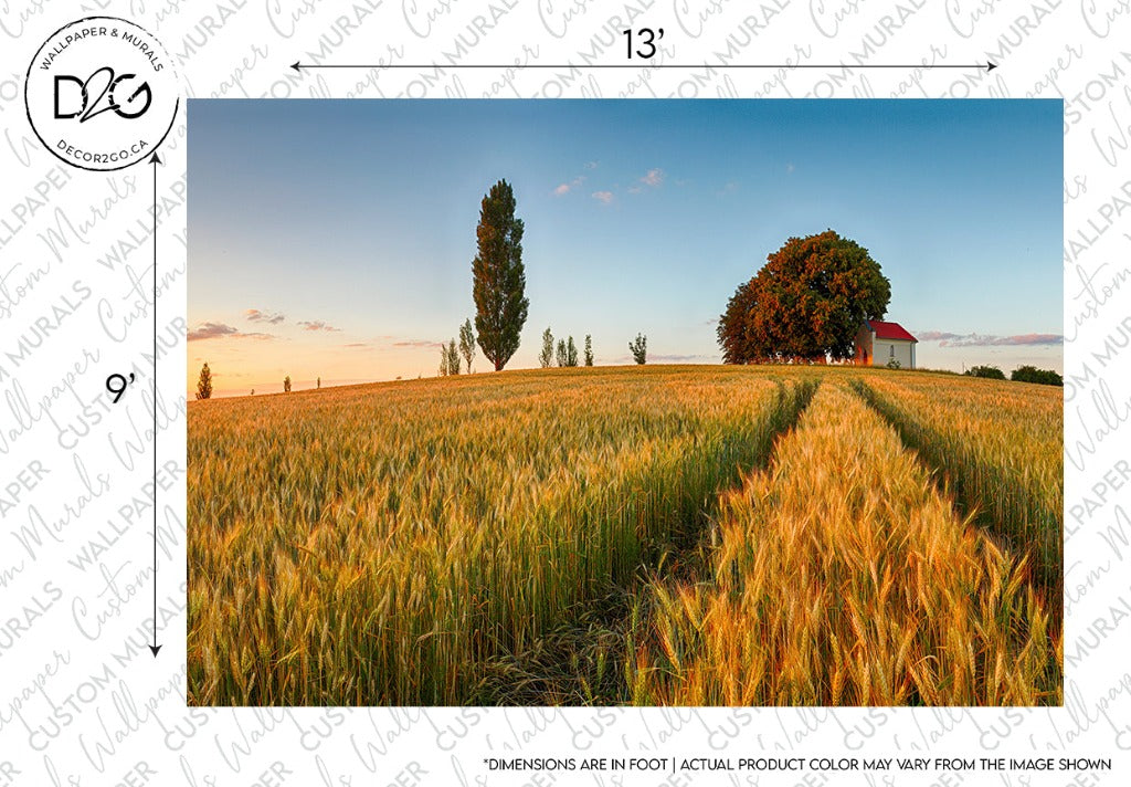 A scenic landscape featuring a golden wheat field with a path leading towards a red barn and tall trees under a sunrise sky. Watermark and dimension notes are present on the image edges. (Decor2Go Wallpaper Mural)