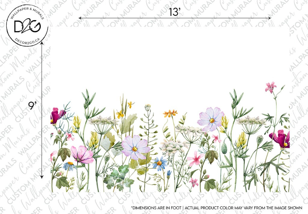 A variety of colorful Watercolor Garden Wallpaper Murals featuring different species of wildflowers and plants, arranged in a row along the bottom edge of the image, set against a white background by Decor2Go Wallpaper Mural.