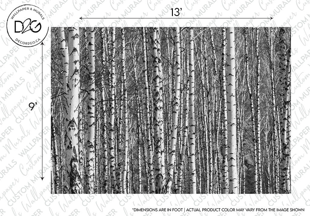 Black and white image of a Decor2Go Birch Forest Wallpaper Mural, showcasing the tall, slender trunks with distinctive bark patterns. Text labels with measurements and disclaimers are overlayed.