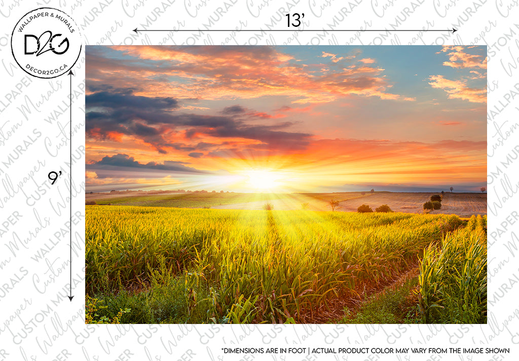 A vibrant sunset illuminates a sprawling wheat field, casting golden hues and long shadows, with fluffy clouds stretched across a dynamic sky in the Decor2Go Wallpaper Mural, viewed within a design mock-up frame.