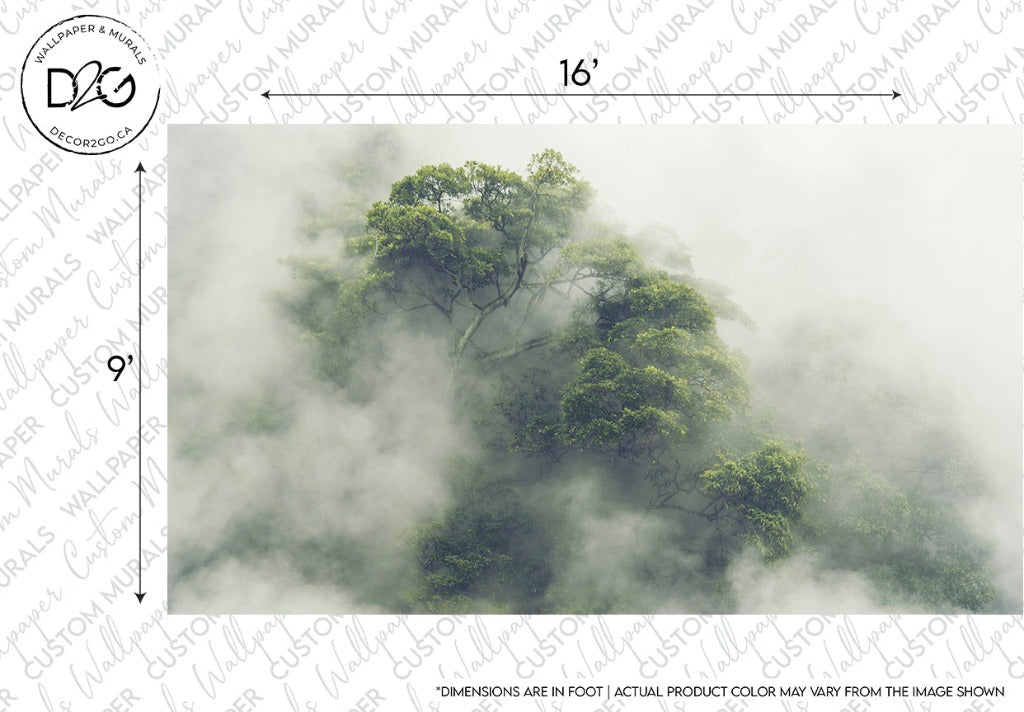 Misty forest scene with green trees partially obscured by fog, displayed as a Hidden Tree Wallpaper Mural sample with dimensions labeled on a Decor2Go Wallpaper Mural background.