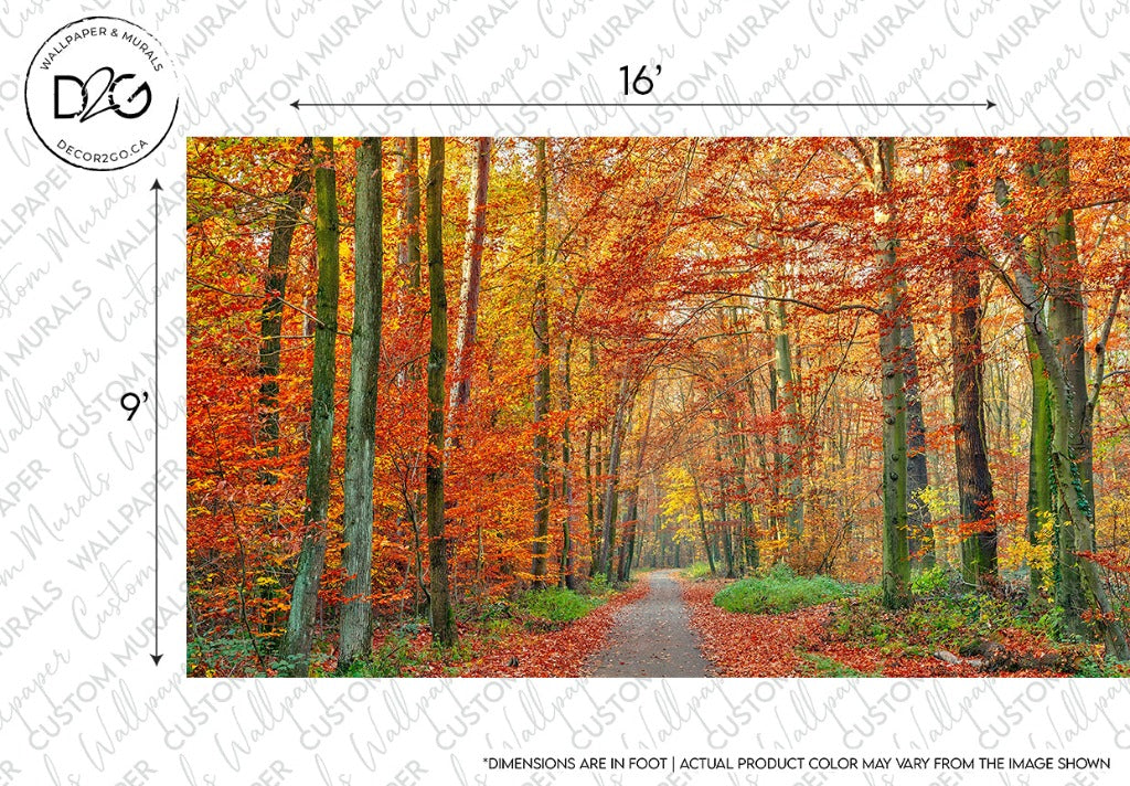 A vibrant autumn scene with a pathway surrounded by tall trees adorned in vivid shades of red, orange, and yellow foliage. This image serves as a Decor2Go Wallpaper Mural, complete