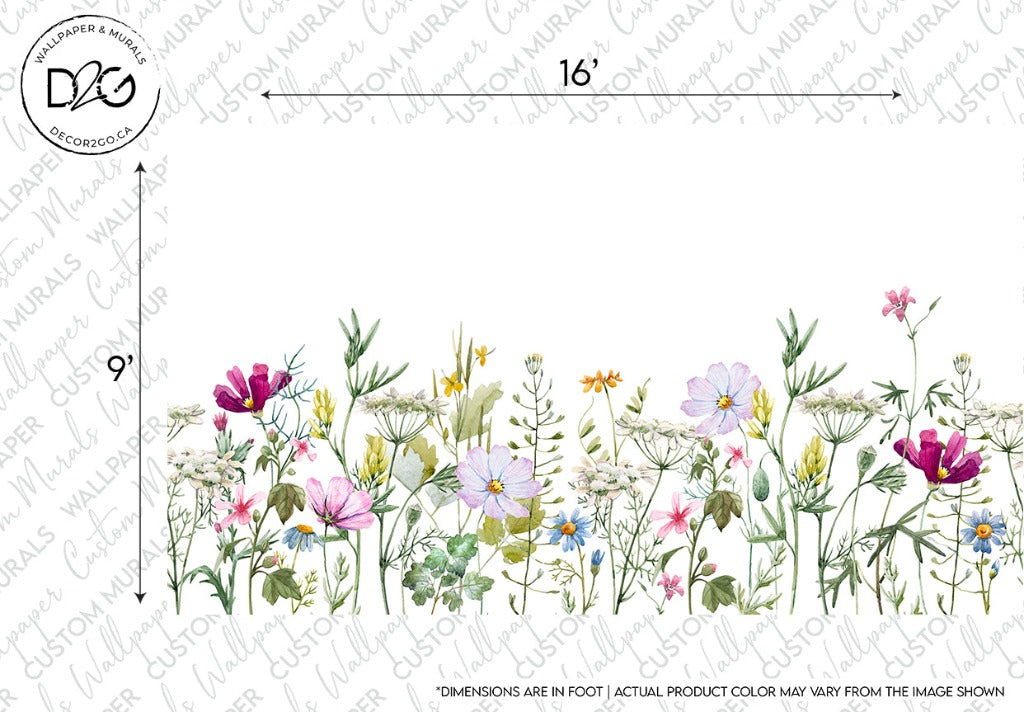 A variety of colorful wildflowers, including pink, blue, and yellow blooms, digitally arranged in a row against a white background, with dimensions marked as 16 inches by 9 inches to create a tranquil oasis featuring the Watercolor Garden Wallpaper Mural from Decor2Go Wallpaper Mural.