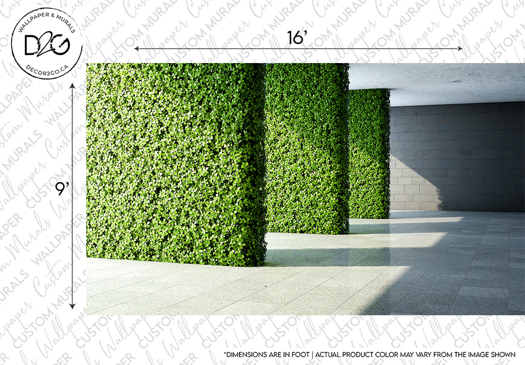 An image showing a lush green realistic Decor2Go Wallpaper Mural on a wall that's 16 feet high and 9 feet wide, next to a grey concrete pathway under a partly shaded area. The text includes dimensions and