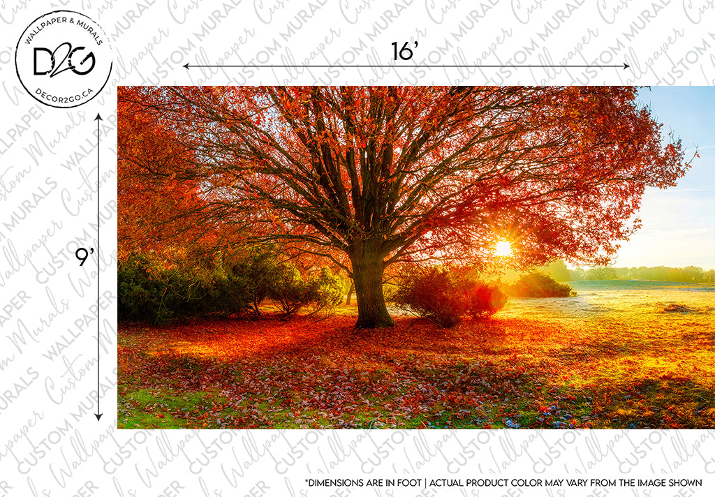 A vibrant autumn scene featuring a large tree with fiery red and orange leaves, casting shadows on the grass covered in fallen leaves, under a bright sunlight—perfect as a Decor2Go Wallpaper Mural.
