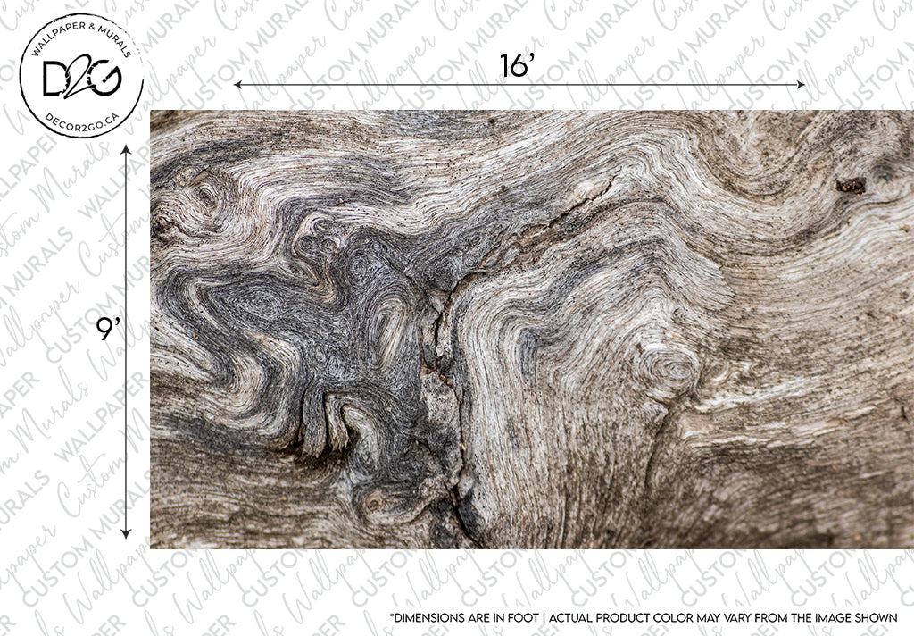 Close-up of a detailed wood grain pattern showing swirling natural lines and textures in gray and brown tones, reminiscent of ancient artistry. Dimensions marked as 16" by 9". Decor2Go Wallpaper Mural's Cave Painting Wallpaper Mural.
