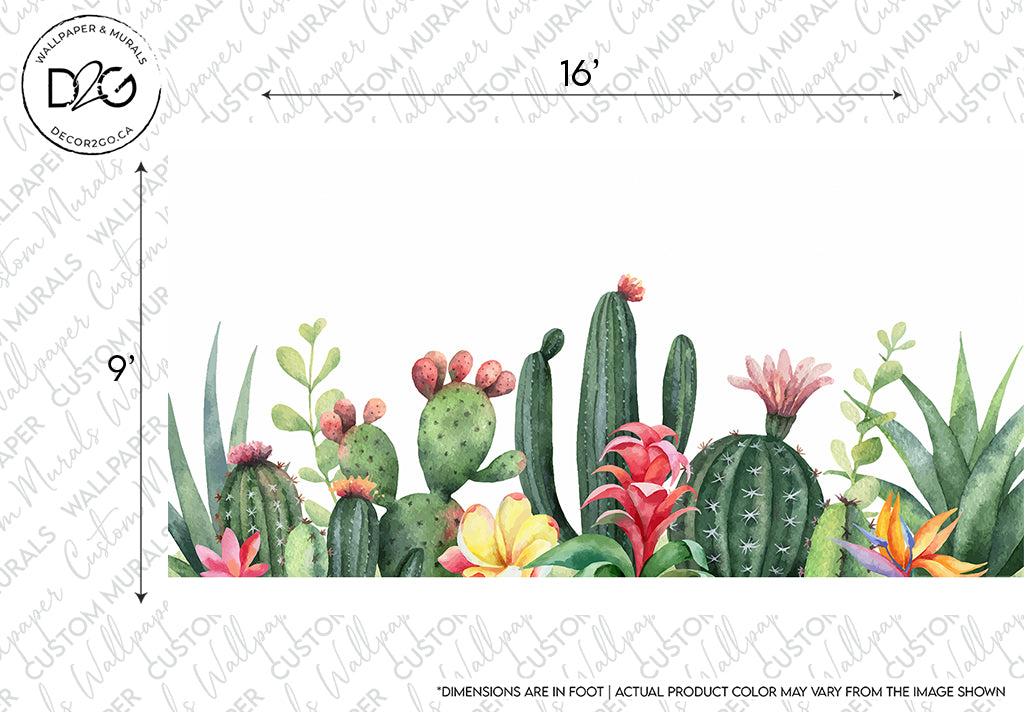 A variety of Garden of Cactus Wallpaper Mural paintings and succulents with different shapes, sizes, and colored flowers, arranged in a row on a plain white background. A decorated border marks the dimensions of Decor2Go Wallpaper Mural.