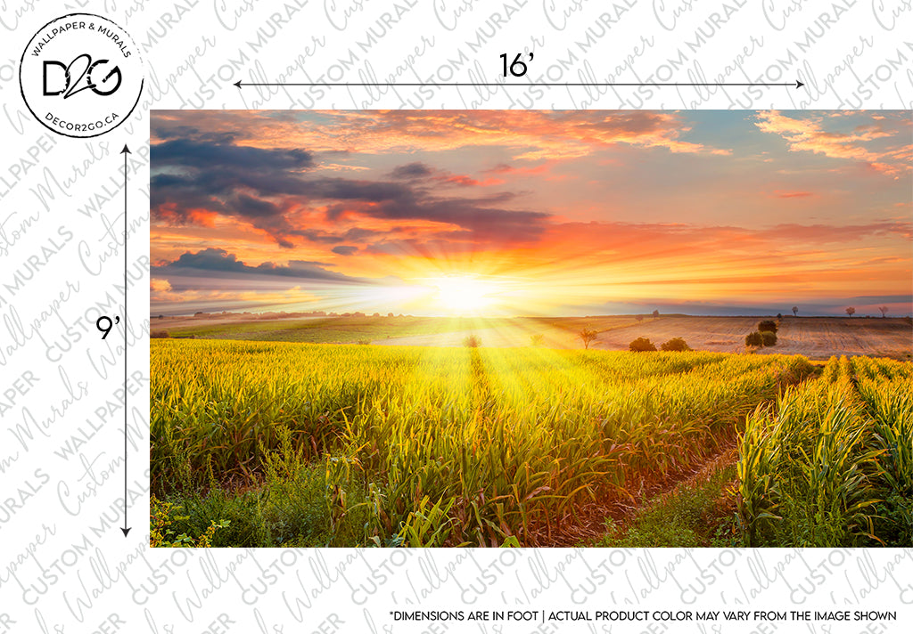 A vibrant sunset over a lush green field with scattered trees and scattered clouds in the sky, casting a radiant glow and long shadows on the landscape, creating a calming scene Decor2Go Wallpaper Mural.