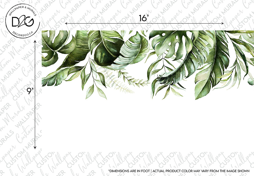 Watercolor-style custom mural design featuring lush, green tropical leaves arranged at the top border, with dimensions labeled as 16 inches by 59 inches on a white background using the Green is in the air Wallpaper Mural by Decor2Go Wallpaper Mural.
