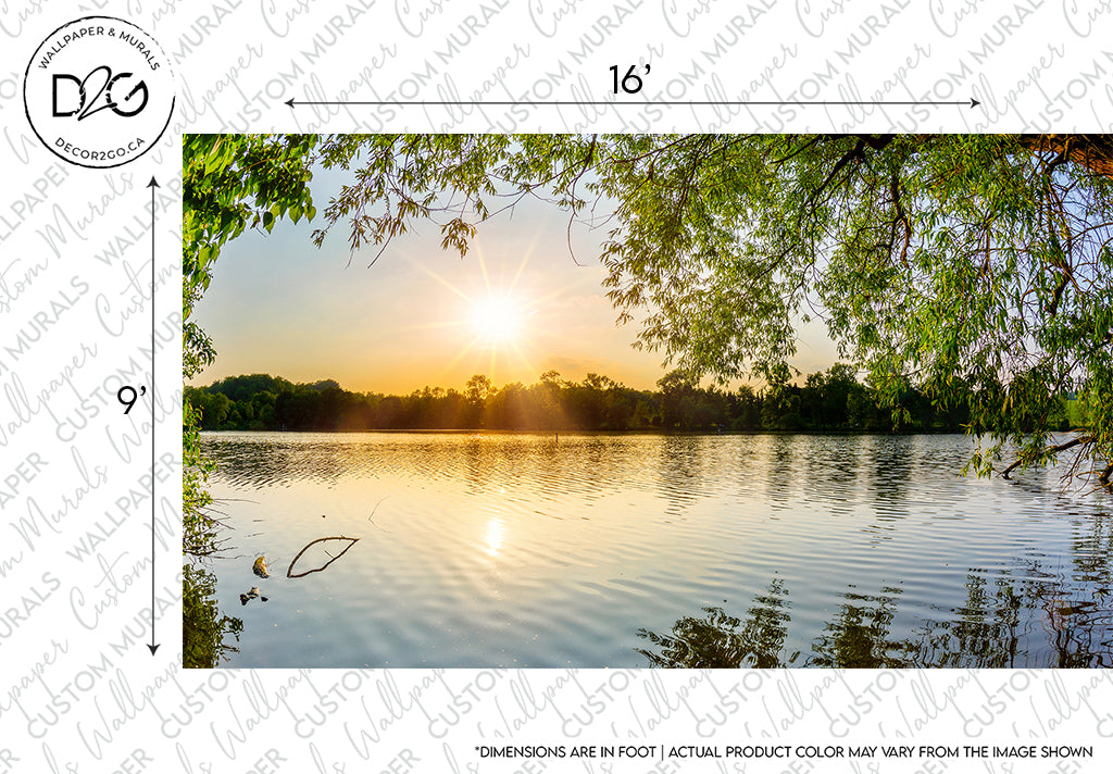 Sunset over a calm lake with sunbeams reflecting on the water, surrounded by lush green trees, and a watermark reading "Decor2Go Wallpaper Mural" on the image.