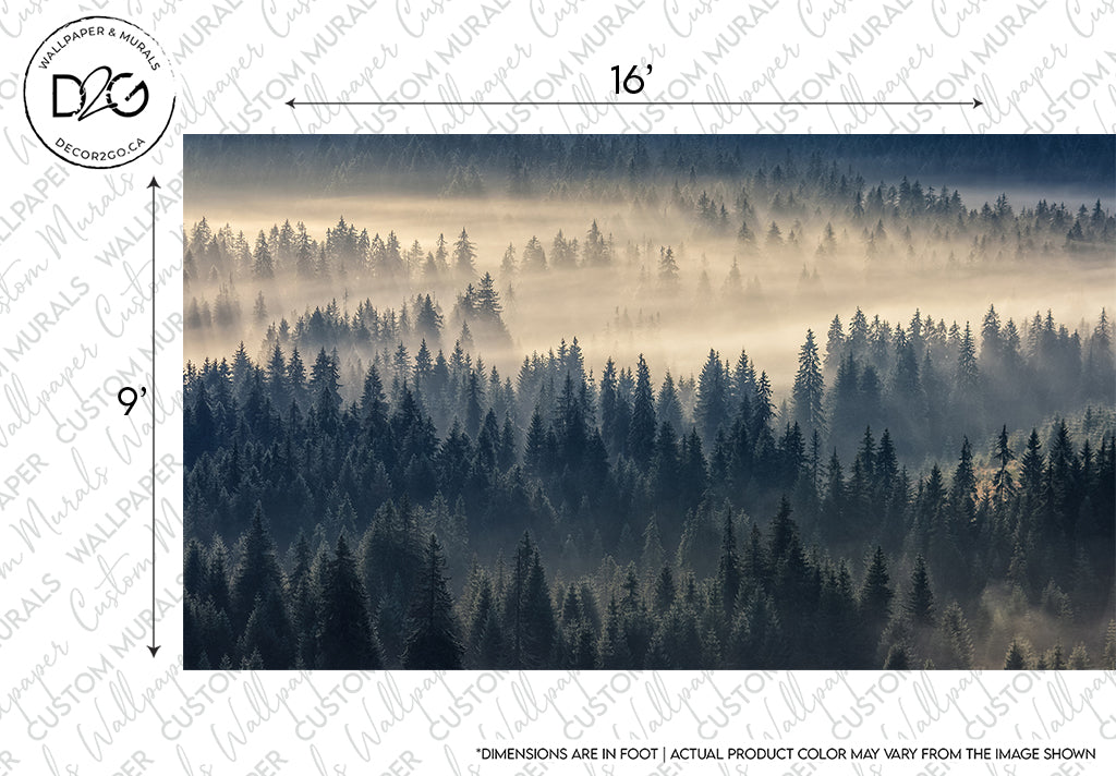 Aerial view of a dense boreal forest with fog lingering between the pine trees, illuminated by soft sunlight. The image has identifying marks and measurements for Decor2Go Mysterious Forest Wallpaper Mural design.