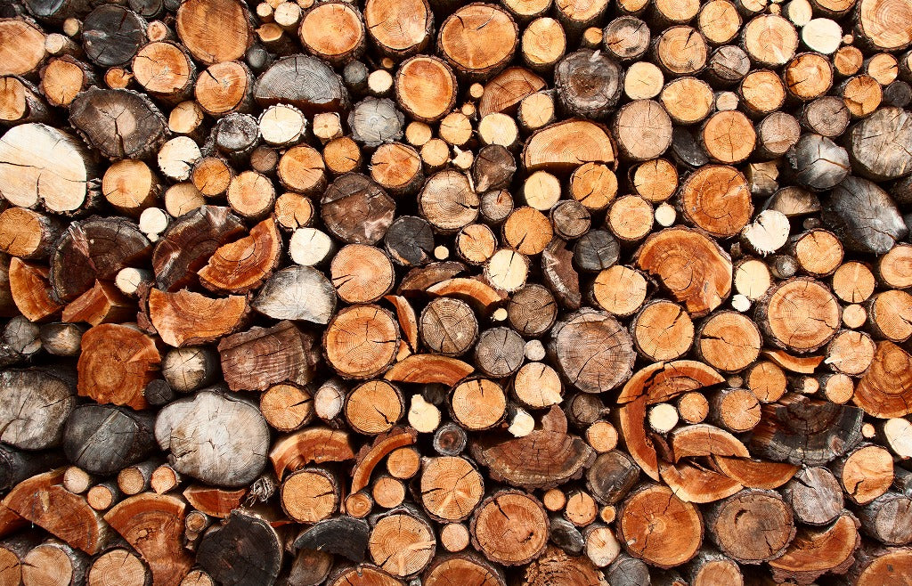 A close-up view of a pile of cut logs, showcasing various sizes and details of the wood's rings and faux textures with Decor2Go Wallpaper Mural's World of Wood Wallpaper Mural.