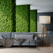 Living Room - Living Room with mural  modern hallway with columns and plants