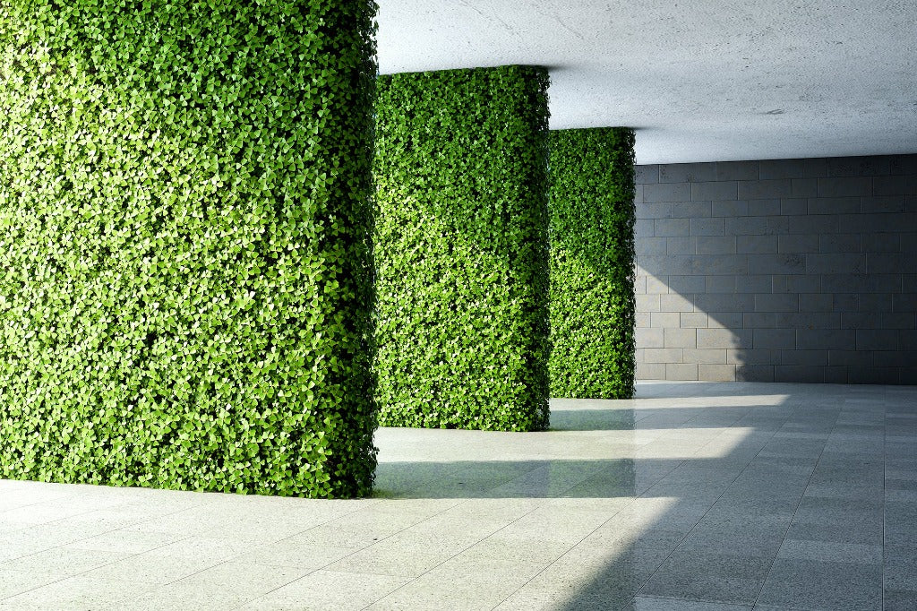 An urban scene featuring a sunlit courtyard with luscious green ivy walls and a striking Decor2Go Wallpaper Mural, contrasting with the geometric shadows cast by columns on the gray tiled floor.