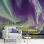 Living Room - A modern living room with a gray armchair and a small round table featuring a plant and a purple cushion, set against a Decor2Go Wallpaper Mural of the Aurora borealis.