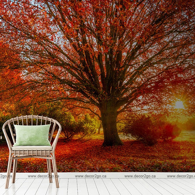 A digitally created image blending an interior with nature, featuring a wicker chair against a vibrant Autumn Colours Wallpaper Mural backdrop captured in a Decor2Go Wallpaper Mural, with a setting sun illuminating the scene.
