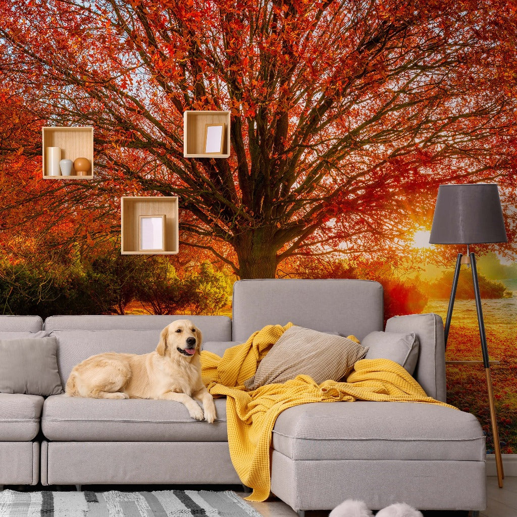 A cozy living room scene with a golden retriever lying on a gray sofa, surrounded by cushions, under a hanging lamp, with vibrant orange touch visible through the window featuring the Decor2Go Wallpaper Mural Autumn Colours.