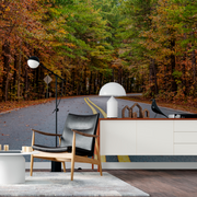 Living Room - Living room with a mural wallpaper that open the space with a road scene