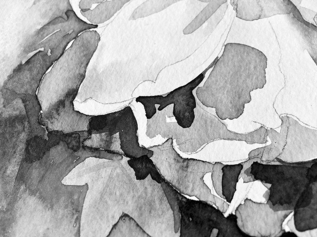 Black and white Decor2Go Wallpaper Mural depicting watercolor floral shapes with soft edges and shaded details, creating a fluid and organic appearance.