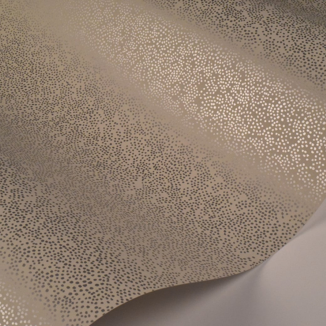 A close-up of York Wallcoverings’ Beige Champagne Dots Wallpaper (60 SqFt) showcases clusters of small metallic silver dots scattered on beige, with gentle curves that create soft shadows and highlights.