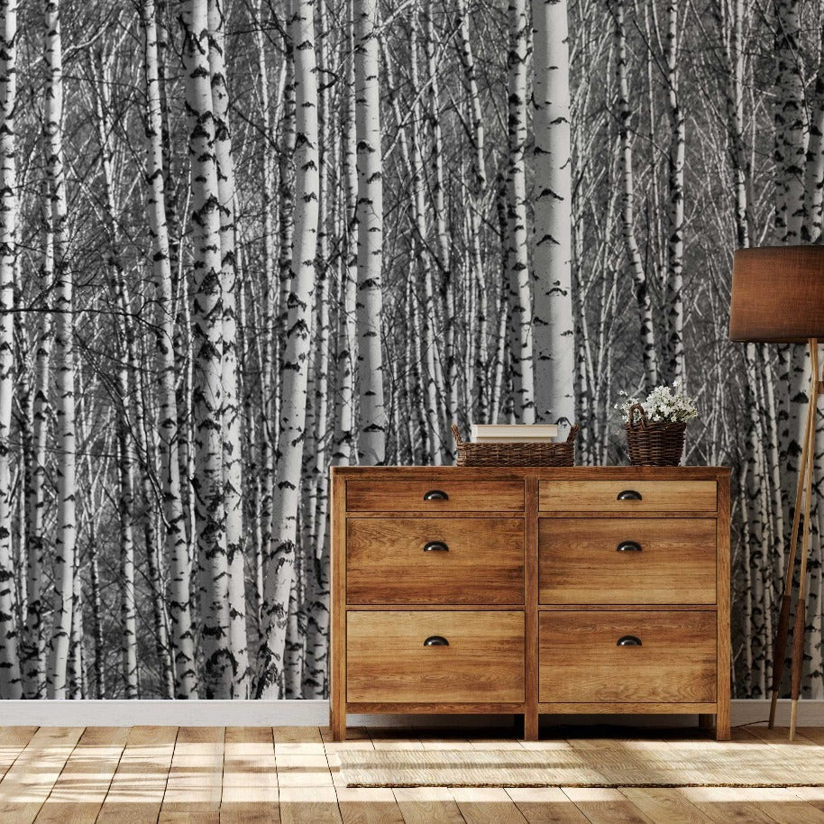 A cozy room with a rustic wooden dresser against Decor2Go Wallpaper Mural's Birch Forest Wallpaper Mural. A tall floor lamp with a brown shade and a small plant on the dresser add warmth to the space.