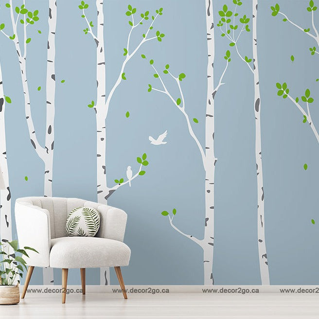White chair wallpaper mural with birch trees birds