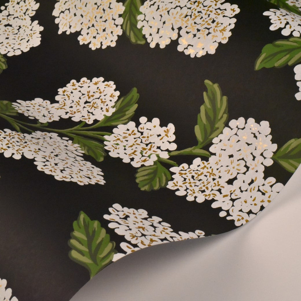 Black/White Hydrangea Wallpaper (60 SqFt) by York Wallcoverings features white floral clusters and green leaves on a black background—a chic, elegant floral design inspired by Rifle Paper Co.