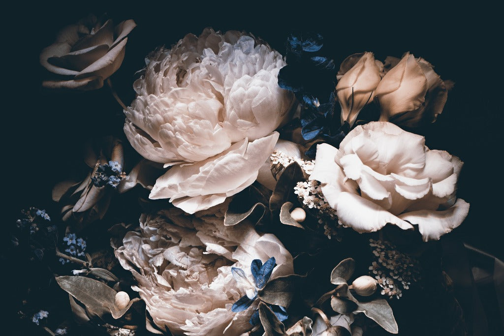 An arrangement of delicate Bouquet of White Peonies Wallpaper Mural flowers and other blooms in muted tones, dramatically highlighted against a dark background, capturing a moody and ethereal aesthetic.