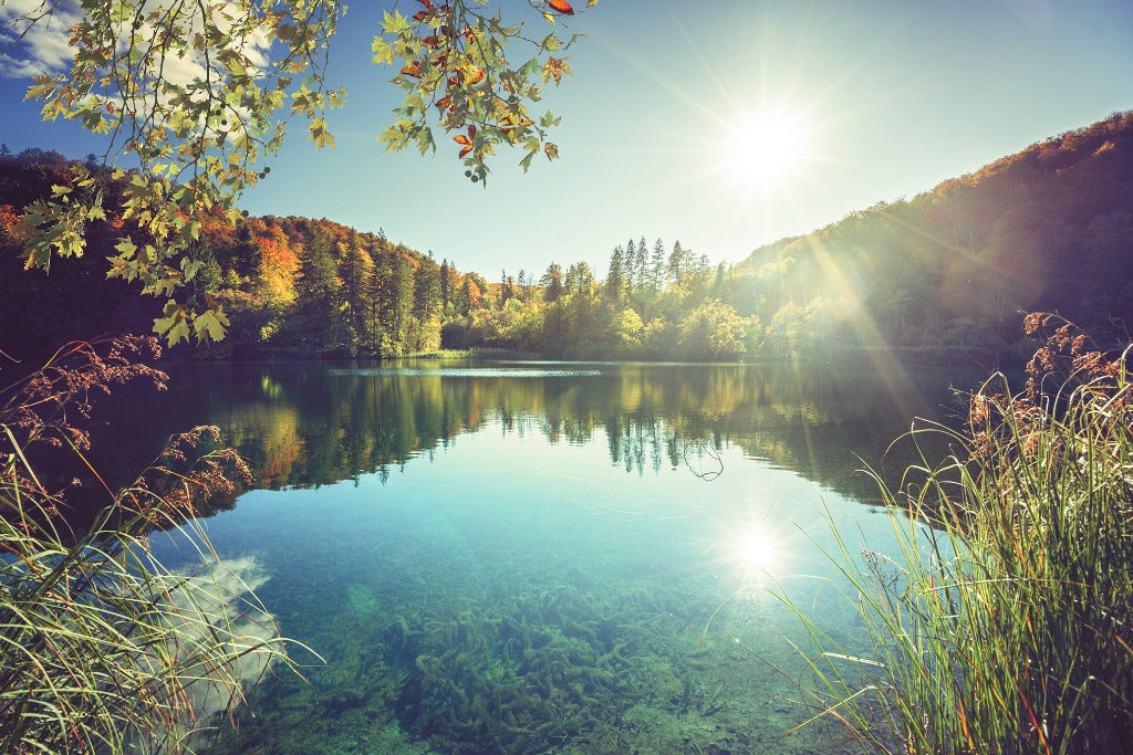 A serene lake with clear, reflective waters surrounded by vibrant autumn trees under a bright sun, ideal for a Decor2Go Wallpaper Mural, with foreground grasses and light flares.