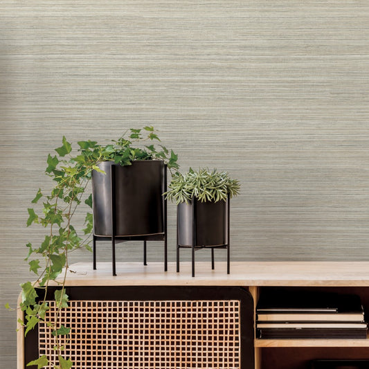 A minimalist interior features a light-colored textured wall, enhanced by the natural aesthetic of Fountain Grass Camel Wallpaper Brown (60 Sq.Ft.) from York Wallcoverings, with two black plant pots on a wooden cabinet. The plants include a trailing ivy in the taller pot and a succulent in the smaller one. The black and cane design cabinet also holds a few books.