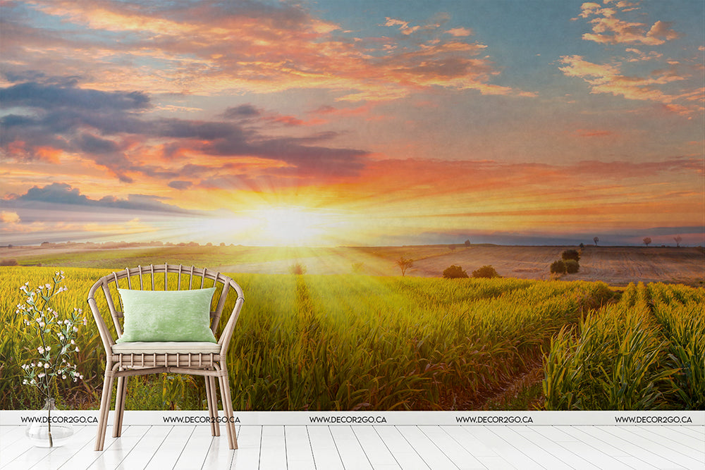 A tranquil scene featuring a wicker chair with a green cushion placed on a wooden floor, facing a vibrant Decor2Go Wallpaper Mural over a vast, rolling wheat field under a partly cloudy sky.