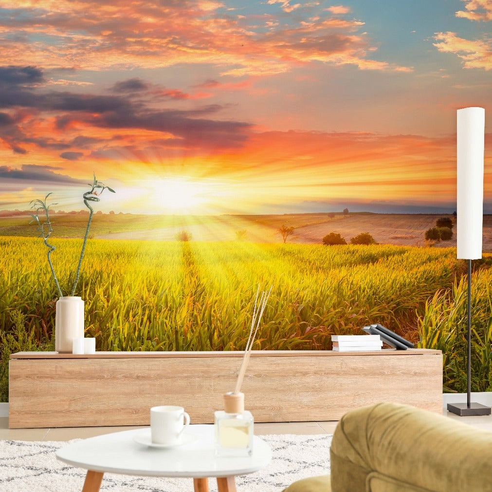 A calming scene in the living room with a view of a beautiful sunset over expansive fields, featuring a Decor2Go Wallpaper Mural Grazing Sun Wallpaper Mural, wooden tv stand, white coffee table with cups, modern floor lamps, and a couch.