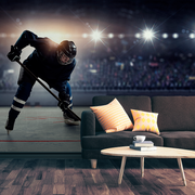 Living Room - Hockey player on the ice rink wallpaper mural in dark living room or rec room