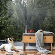 A serene indoor scene featuring a dog lying next to mid-century modern wooden furniture, with a backdrop of Into the Woods Wallpaper Mural by Decor2Go Wallpaper Mural on a feature wall visible through a large window.