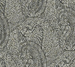 The intricate paisley pattern in black and white, showcasing swirling designs, floral motifs, and detailed textures, reminiscent of the Kashmir Dreams Paisley Wallpaper Black (60 SqFt) by York Wallcoverings, creates a rich tapestry of overlapping shapes and lines.