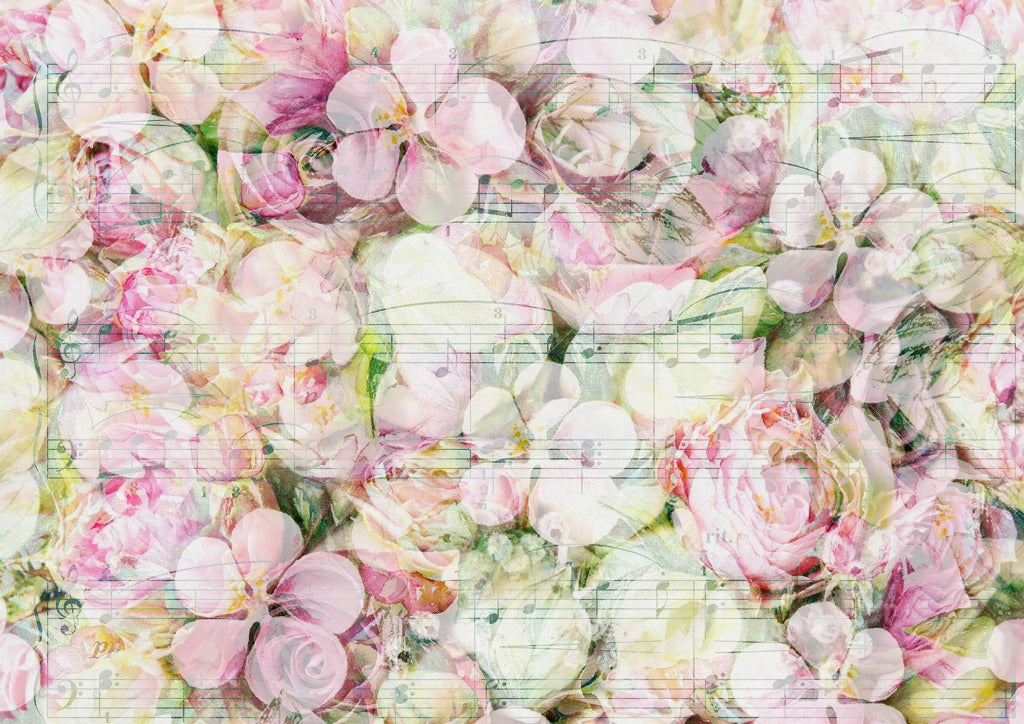 A Musical Roses Wallpaper Mural by Decor2Go featuring layers of translucent pastel pink and cream roses with underlying sheet music, creating a romantic, artistic blend of floral imagery and musical notes.