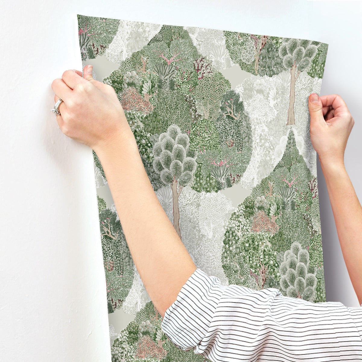 A person wearing a striped shirt hangs the York Wallcoverings Mystic Forest Wallpaper in Green/Coral, featuring a nature-inspired design with tree and foliage patterns. The wallpaper’s lush shades of green and gray beautifully depict various trees and plants. The person carefully adjusts the top edge of the sheet against a white wall.