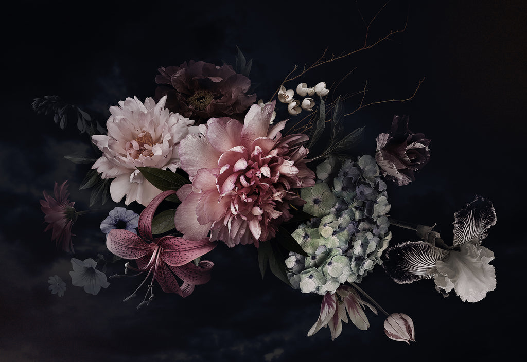 Artistic arrangement of multicolored peonies against a dark, moody background, creating a dramatic and elegant Decor2Go Wallpaper Mural display.